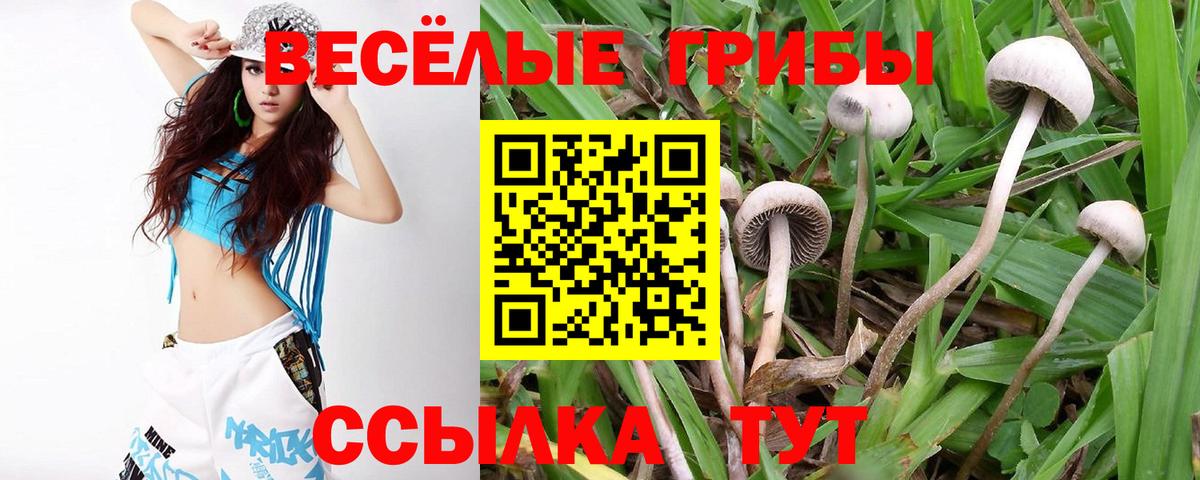 Псилоцибиновые грибы прущие грибы  Вход с VPN  Кимры 