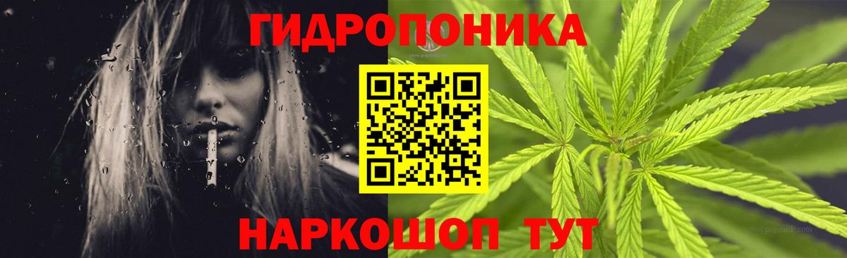 Шишки марихуана марихуана  Вход с VPN  МАРИХУАНА ГИДРОПОН  Кимры 